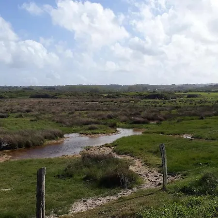 La P'tite Maison De La *