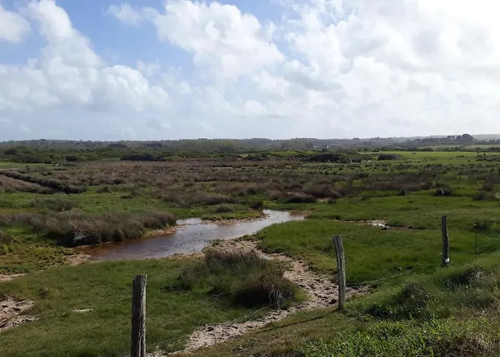 La P'tite Maison De La *